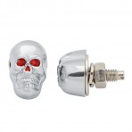 Skull License Plate Fastener Sets