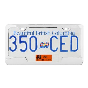 Plain 2-Hole License Plate Frames with Center Cut