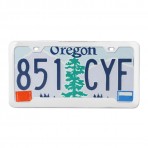 Plain 2-Hole License Plate Frames with Center Raised