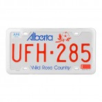 Plain 4-Hole License Plate Frames with Thin Bottom